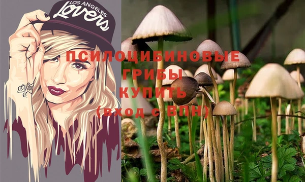 хмурый Армянск