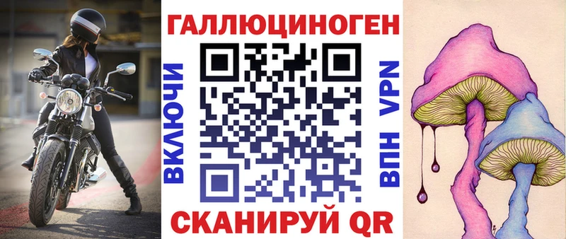 ОМГ ОМГ как зайти  Валдай  Галлюциногенные грибы мицелий 